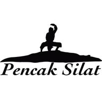 silueta de pencak silat vector