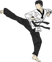 técnica y pose de patada vectorial de taekwondo vector