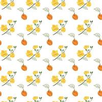 Cute floral and fruit pattern of apricots vector