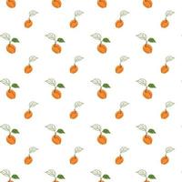 Juicy apricot fruit pattern vector