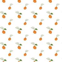 Juicy apricot fruit pattern vector