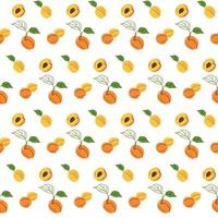 Summer seamless pattern of whole and slices of apricot vector