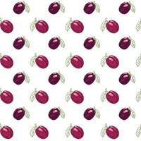 Fruit pattern of red plum vector