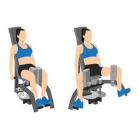 Woman doing exercise using Adduction inner thigh machine. Adductor. Abductor flat vector illustration isolated on white background