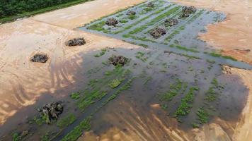 Aerial view red soil and dead oil palm tree video