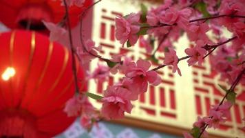 Artificial flower plum blossom with red lantern background video