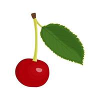 Red cherry with a leaf illustration on a white background vector