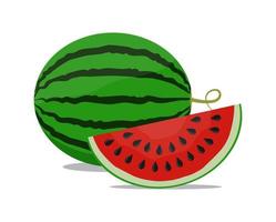 Bright red watermelon with seeds vector flat illustration