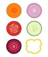 Round vegetable slices vector set. Carrot, onion, tomatoe, cucumber, beet and bell pepper.