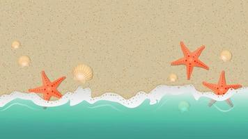 Seashore background. Sand, shells, starfish and wave. vector