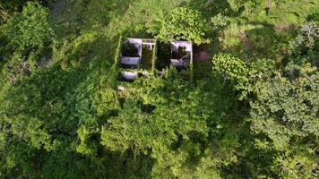 vista aérea casa abandonada crecer con planta video