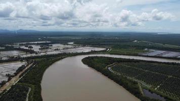 Aerial view curve Kuala Kurau river near oil palm video