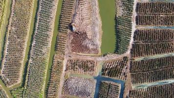 vista de drones tierra de cultivo