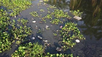 Rubbish pollution at river reflection video