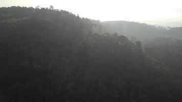 Aerial fly at tropical rainforest video