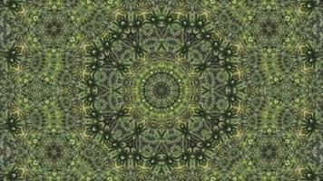 Kaleidoscopic natural palm tree symmetry effect video