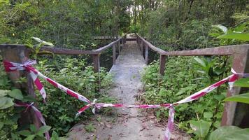 Red and white warning cross strip for not enter the mangrove forest