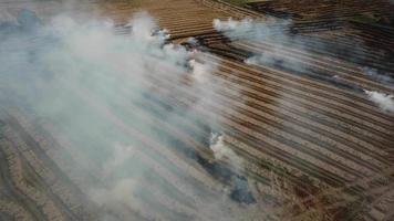 Aerial fly over open burning area video