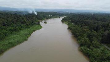 vue aérienne feu dans la plantation vue depuis la rivière video