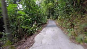 conducir por la carretera asfaltada cerca de la zona rural video