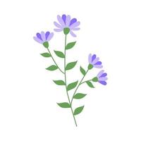 Blue flower isolated on white background. vector