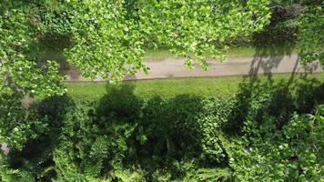 Aerial view descending a path in forest video