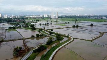 Aerial view curve river at water season cultivation video