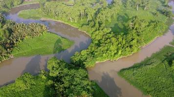 Aerial view green tree shadow reflect in the water video