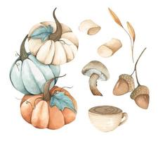 Watercolor autumn elements collection. vector