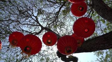 lanterne chinoise accrochée à l'arbre avec soleil arrière video