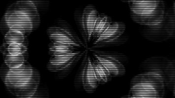 patrón de animación de caleidoscopio de color blanco y negro de semitono video