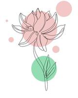 Beautiful flower line art isolated vector