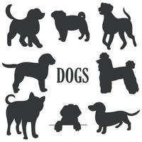 Dogs set black silhouette on white background vector