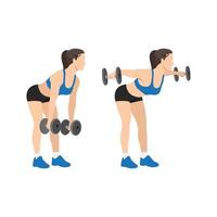 Woman doing Dumbbell bent over lateral rear delt raises. Flyes exercise. Flat vector illustration isolated on white background
