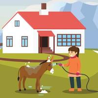 Girl washing horse. Pet care. Horse riding. Equestrian Sport. Isolated Vector Illustration on a flat style. Realistic image. Horse riding lessons