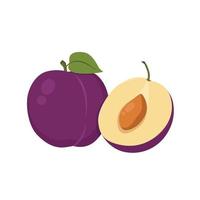 Flat vector of Plums, Stone fruit family isolated on white background. Flat illustration graphic icon