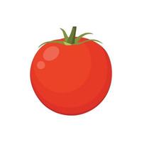 vector plano de tomate aislado sobre fondo blanco. icono gráfico de ilustración plana