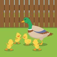 Mom duck with ducklings in cartoon flat style. Vector isolate on a background. Wild ducks.