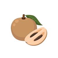 Flat vector of Sapodilla Fruit isolated on white background. Flat illustration graphic icon