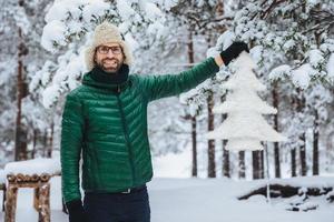 feliz y encantador hombre de mediana edad con barba y bigote, usa chaqueta y sombrero cálidos, sostiene un abeto blanco artificial, pasa la mañana en un hermoso bosque majestuoso. concepto de clima y emociones foto