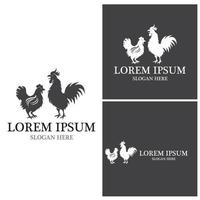 Rooster Logo Template vector