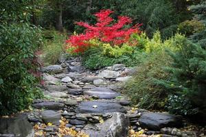 Stream bed and forest during autumn photo
