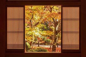 marco entre la ventana de madera y el hermoso árbol de arce en el jardín japonés en el templo enkoji, kyoto, japón. hito y famoso en la temporada de otoño foto