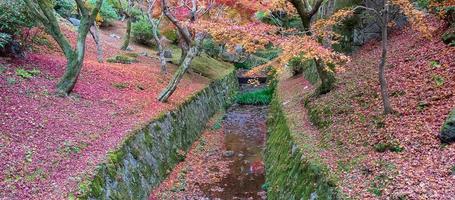 hojas coloridas en el jardín del templo tofukuji, punto de referencia y famoso por las atracciones turísticas en kyoto, japón. temporada de follaje de otoño, concepto de vacaciones y viajes foto