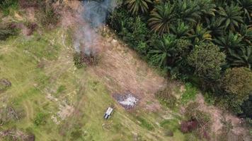 combustion à ciel ouvert pendant le processus de défrichage video