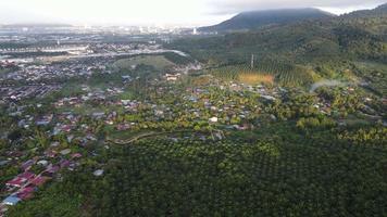 Aerial view look down village near oil palm plantation video