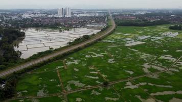 campo di riso di terreno agricolo accanto alla ferrovia video