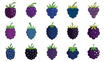 Blackberry icons set flat vector isolated