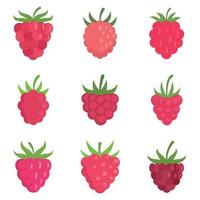 Raspberry icons set flat vector isolated