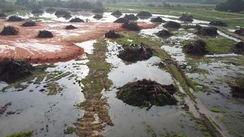 movimiento aéreo sobre palmera de aceite en pila y relleno de suelo rojo video